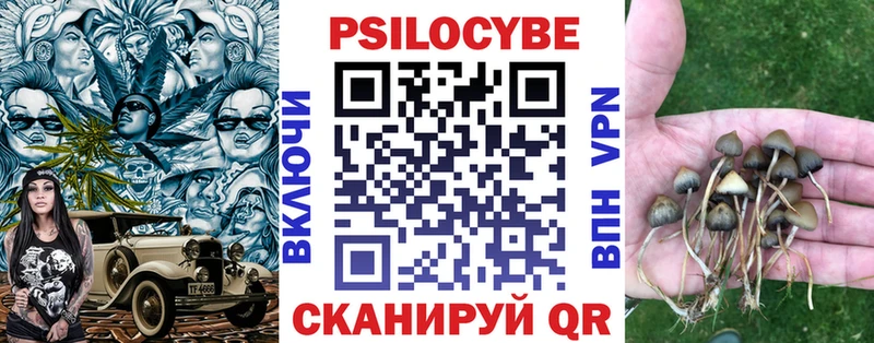 Галлюциногенные грибы MAGIC MUSHROOMS Краснозаводск