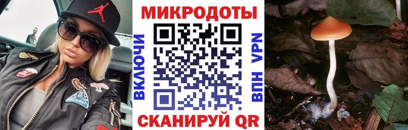 Купить где  Краснозаводск  Псилоцибиновые грибы мухоморы 
